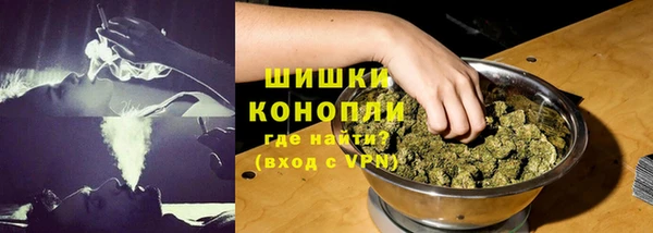 шишки Вязники