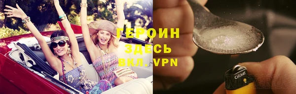 индика Вяземский