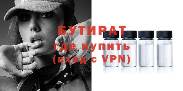 индика Вяземский