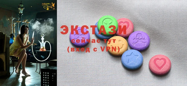 индика Вяземский