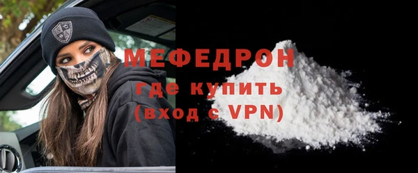 индика Вяземский