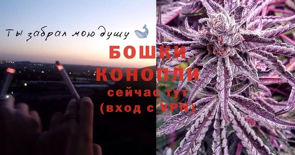 индика Вяземский