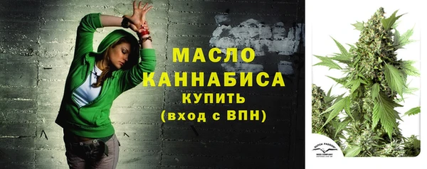 индика Вяземский