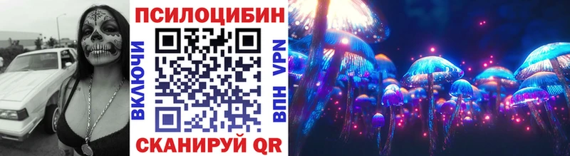 Псилоцибиновые грибы мухоморы  где продают   MEGA ТОР  Егорьевск 