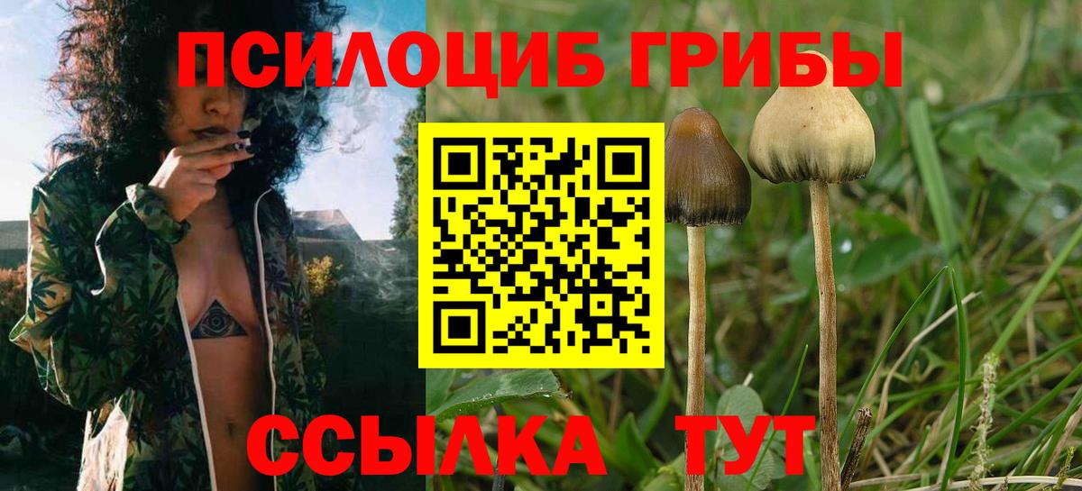 Псилоцибиновые грибы Magic Shrooms  Вход с VPN  Егорьевск 