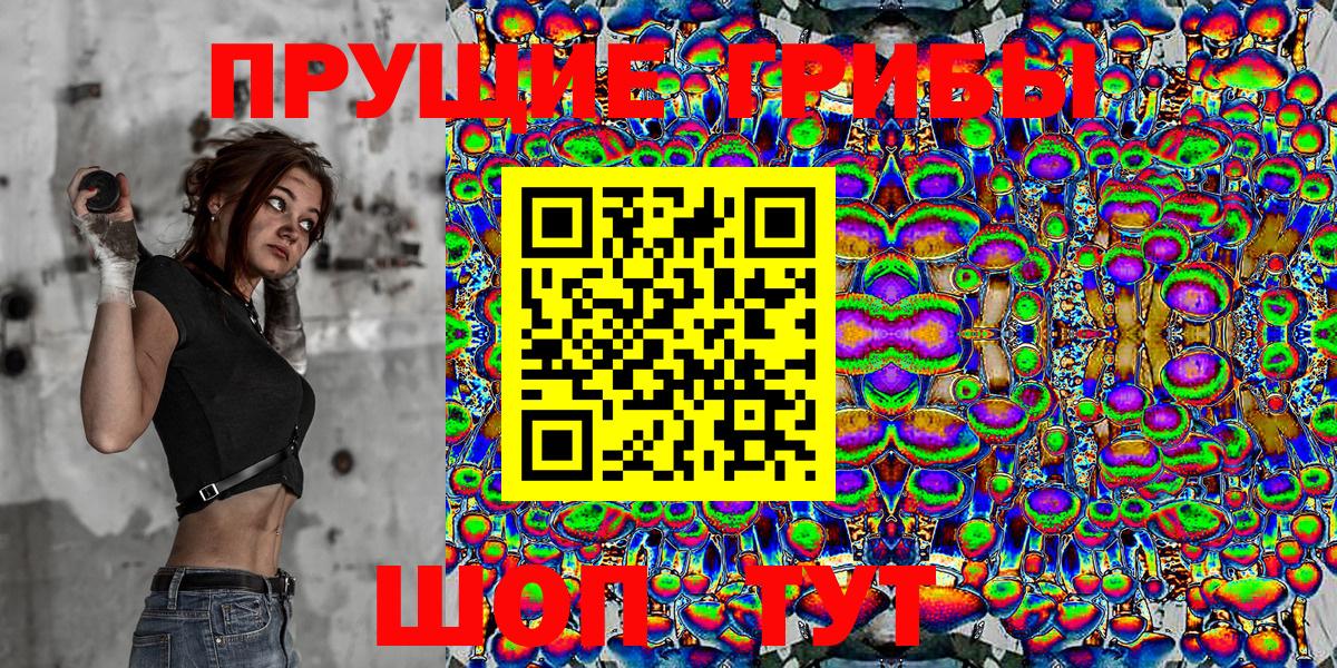 продажа наркотиков  Егорьевск  Псилоцибиновые грибы прущие грибы 