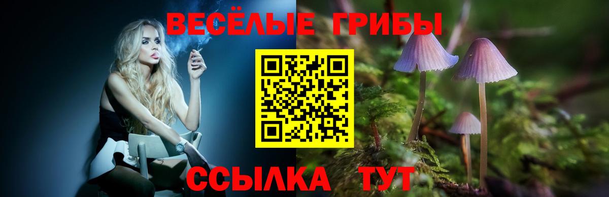 Галлюциногенные грибы мухоморы Егорьевск